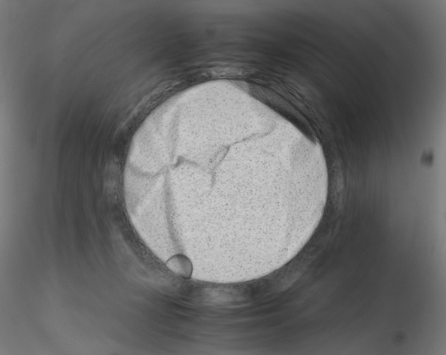 X0000115540367200912181534