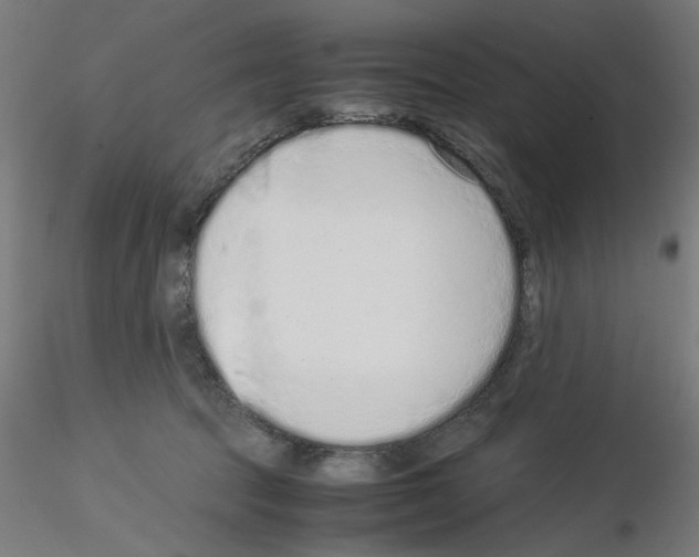 X0000115540369200912181534