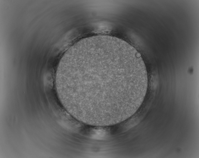 X0000115540370200912181534