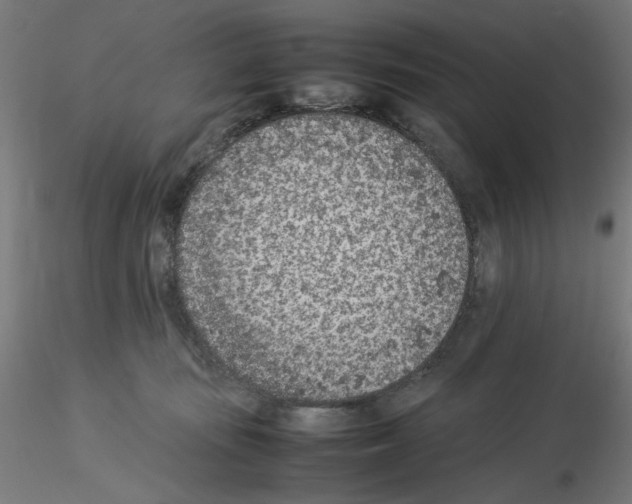 X0000115540371200912181534