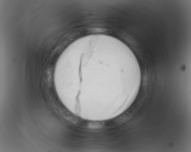 X0000115540373200912181534