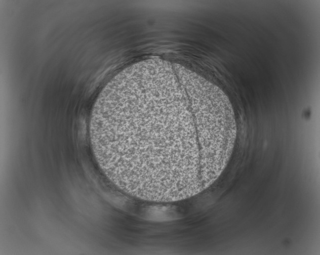 X0000115540375200912181534
