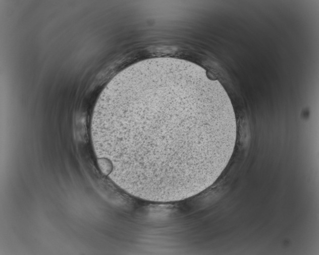 X0000115540378200912181534
