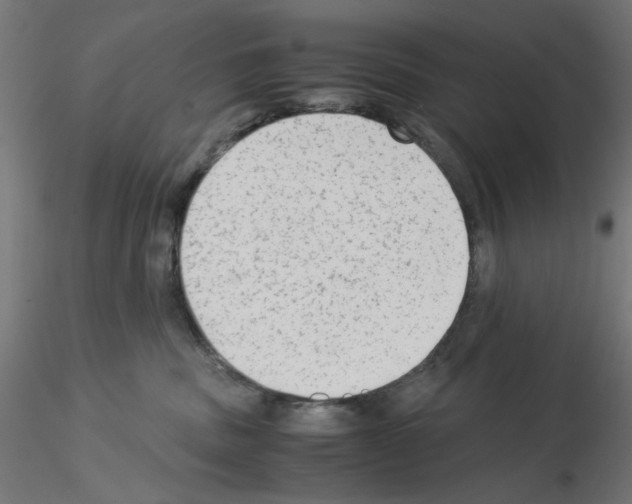 X0000115540379200912181534