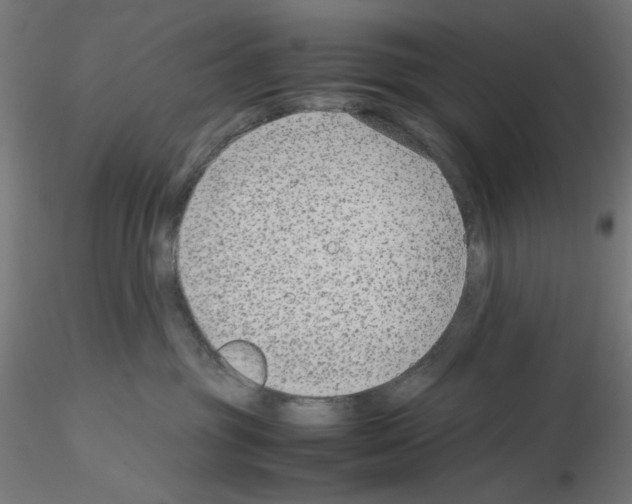 X0000115540381200912181535