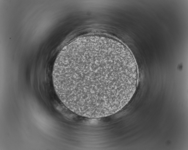 X0000115540382200912181535