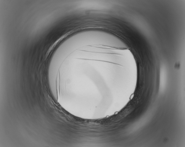 X0000115540387200912181534