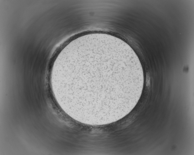 X0000115540388200912181534
