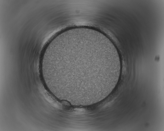 X0000115540391200912181534