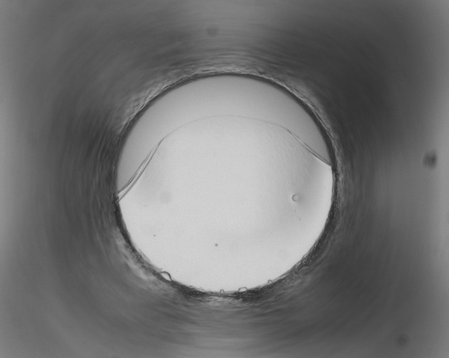 X0000115540393200912181534