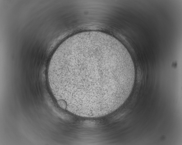 X0000115540394200912181534
