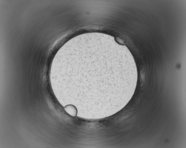 X0000115540396200912181534