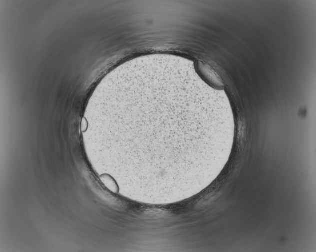X0000115540397200912181534