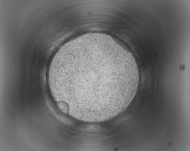 X0000115540398200912181534