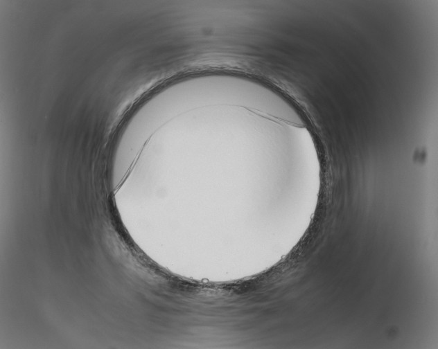X0000115540399200912181534