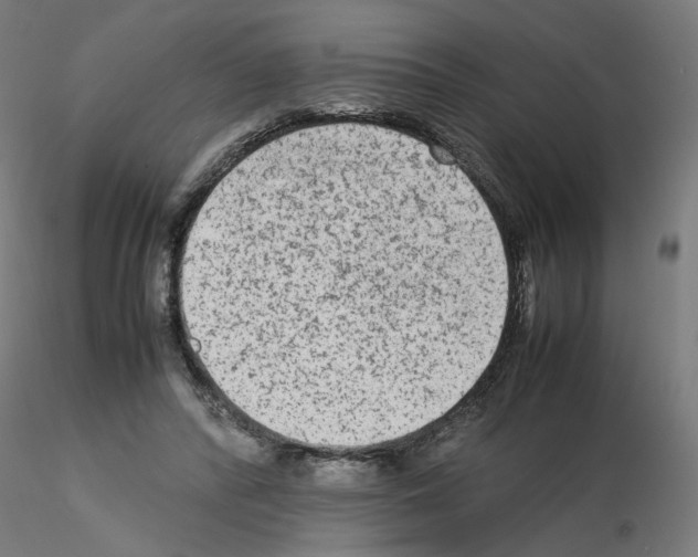 X0000115540400200912181534