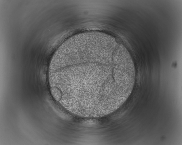 X0000115540402200912181534