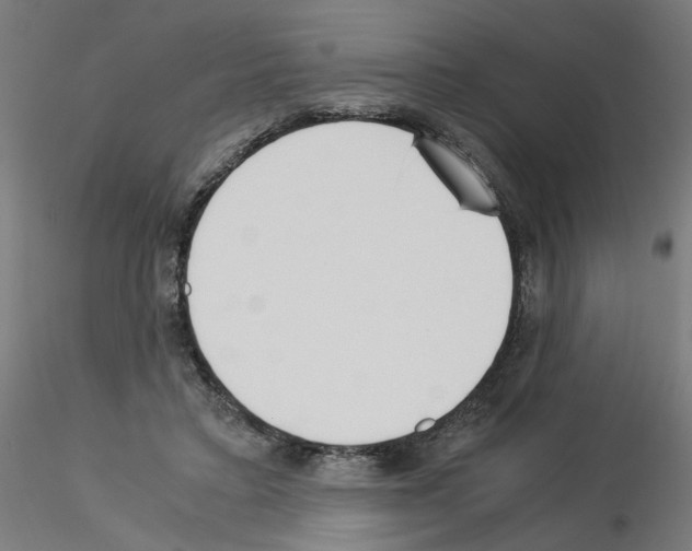 X0000115540403200912181534