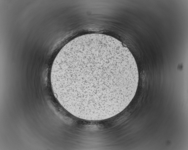 X0000115540404200912181534