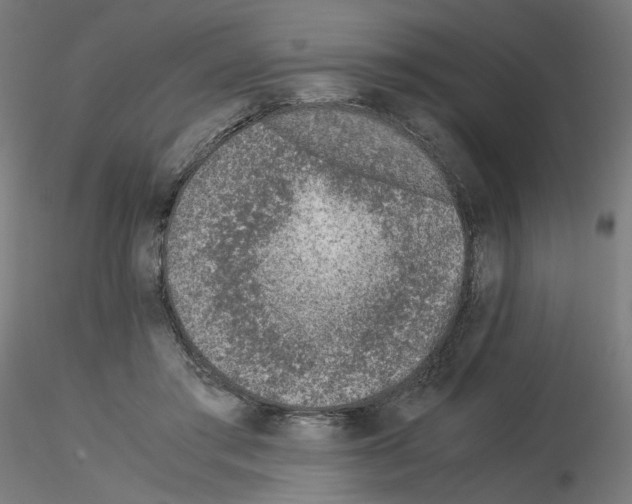 X0000115540405200912181534