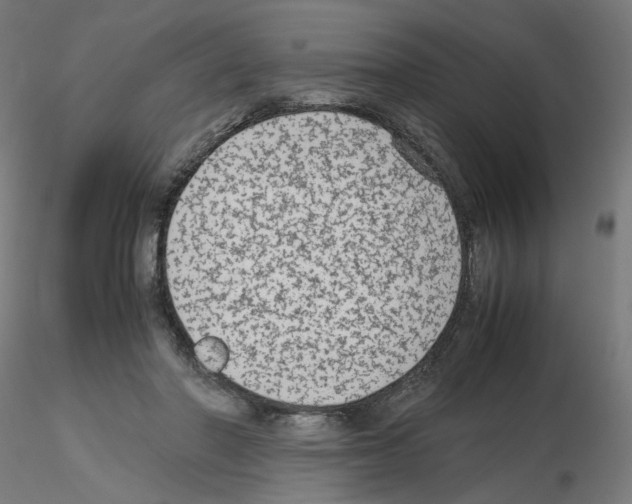 X0000115540406200912181534