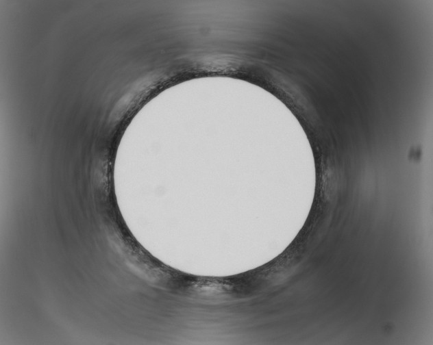 X0000115540407200912181534