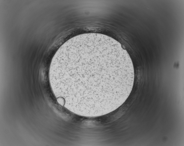 X0000115540408200912181534