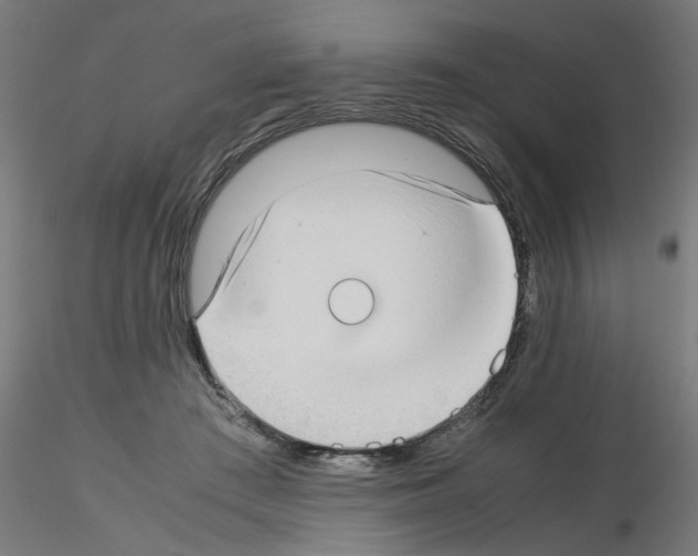 X0000115540409200912181534