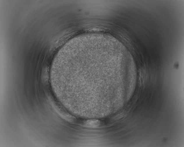 X0000115540410200912181534