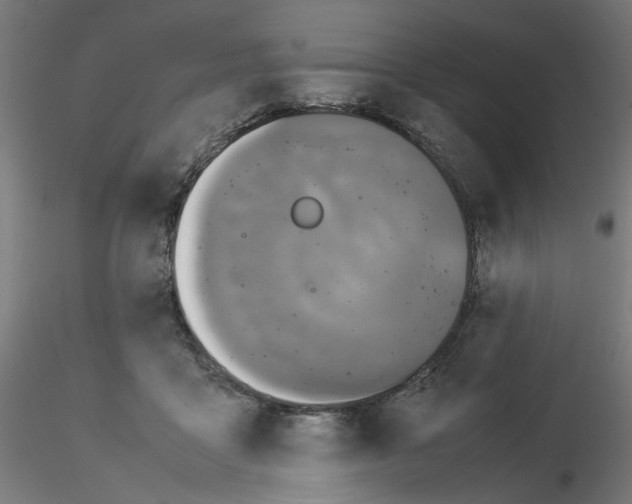 X0000115540411200912181534