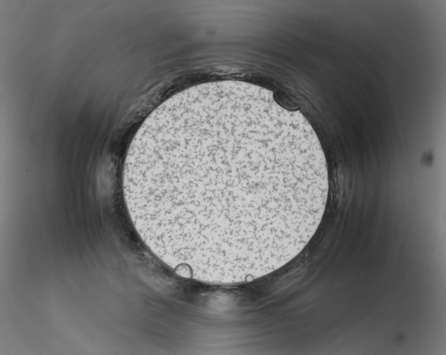 X0000115540412200912181534