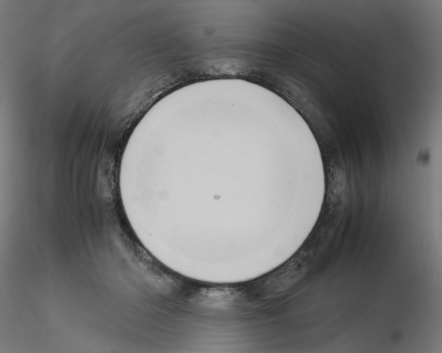 X0000115540414200912181533