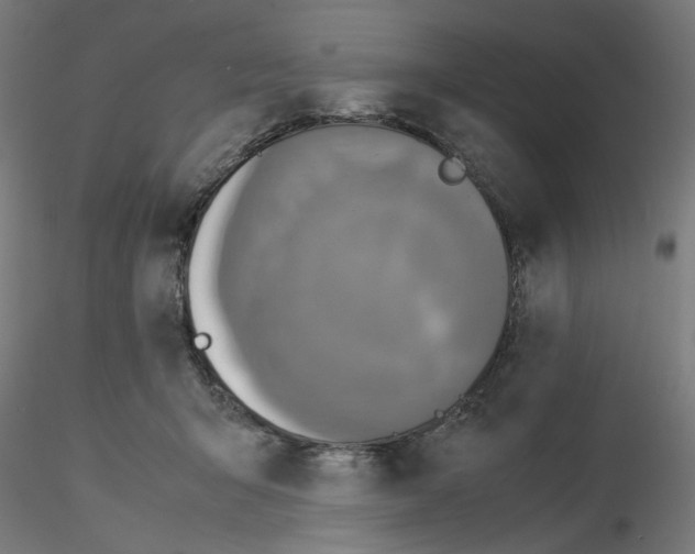 X0000115540415200912181533