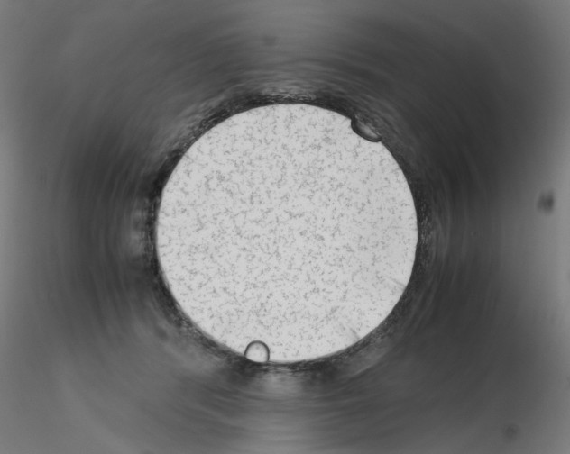 X0000115540416200912181533