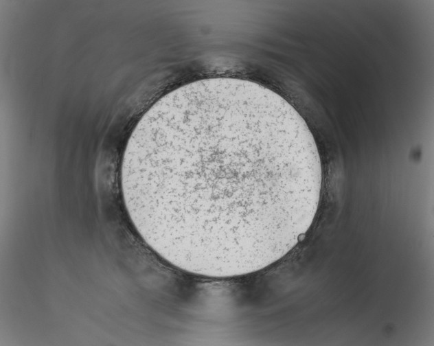 X0000115540417200912181533