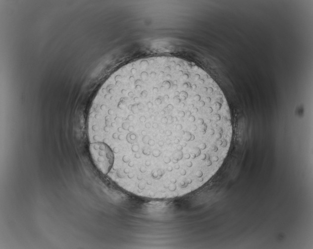X0000115540418200912181533