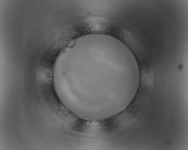 X0000115540419200912181533