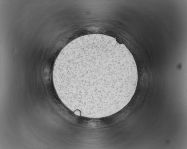 X0000115540420200912181533