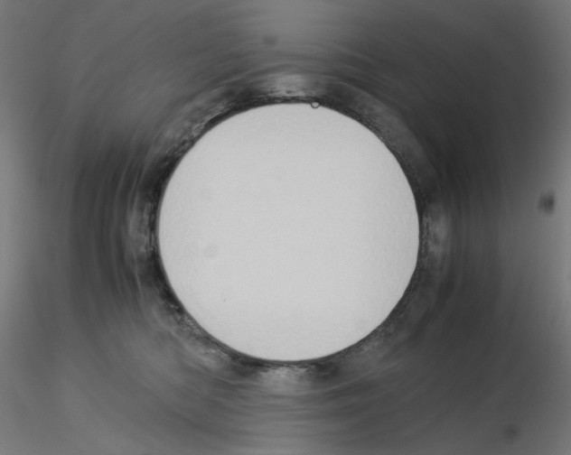 X0000115540422200912181533