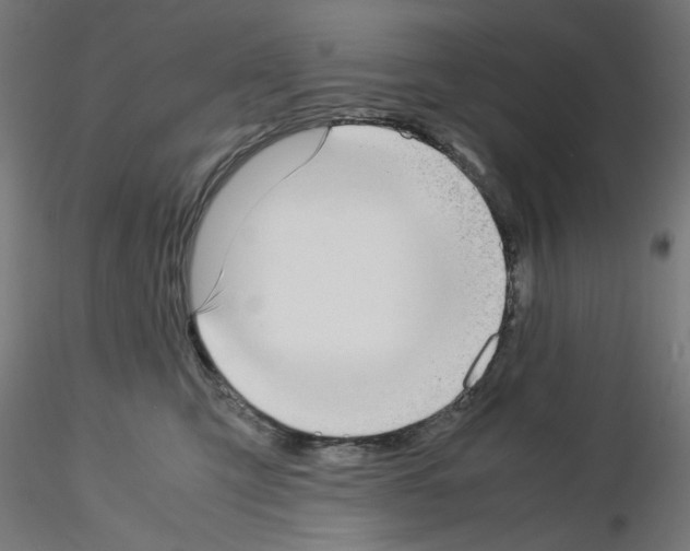 X0000115540423200912181533