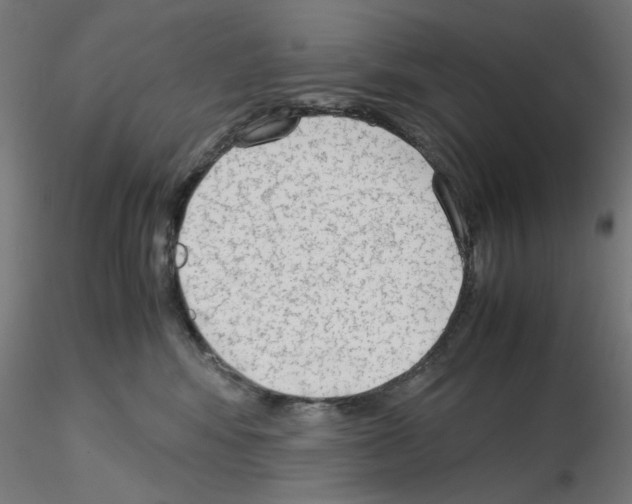 X0000115540424200912181533