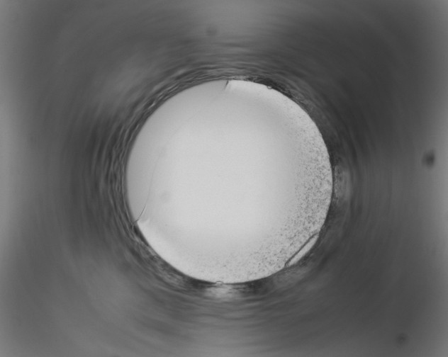X0000115540425200912181533