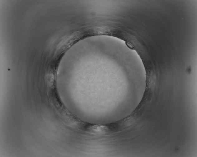 X0000115540427200912181533