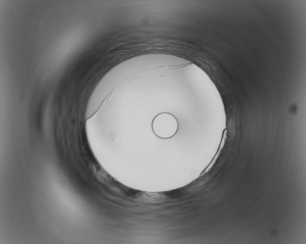 X0000115540429200912181533