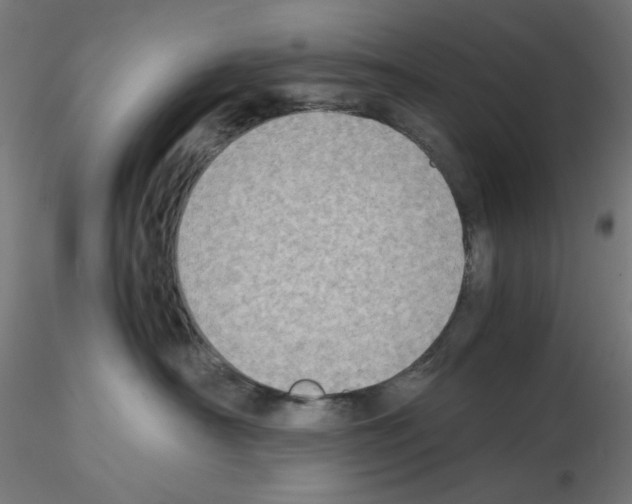 X0000115540430200912181533