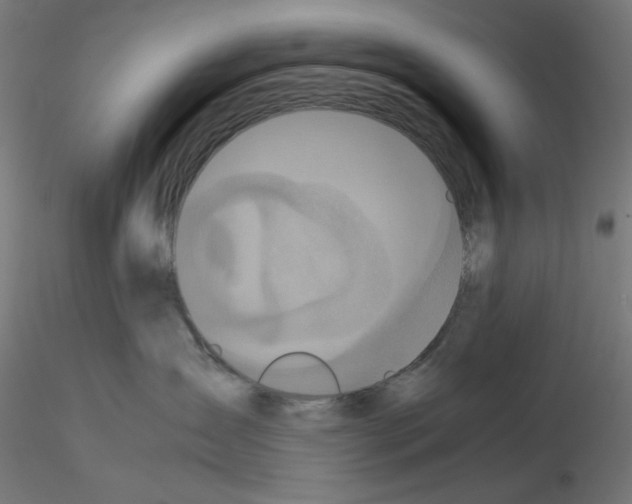 X0000115540431200912181533