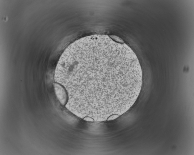 X0000115540432200912181533