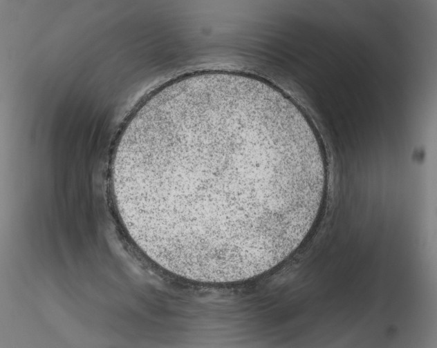 X0000115540434200912181533
