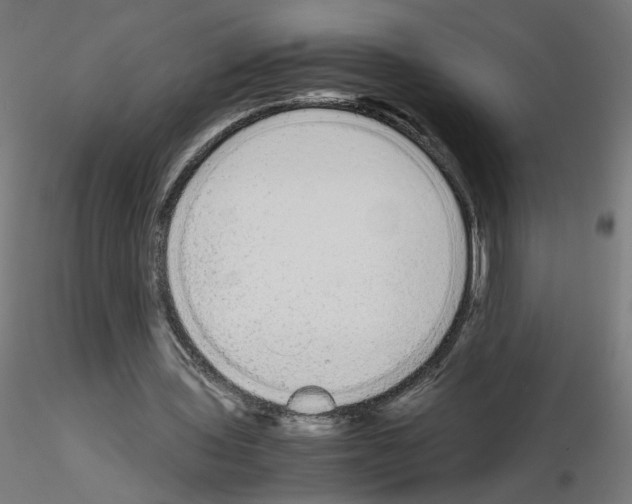 X0000115540435200912181533