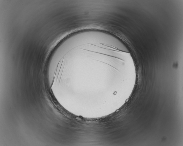 X0000115540436200912181533